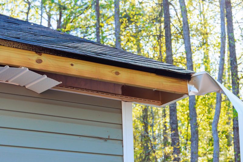 Soffit Damage Repair in Conroe, TX