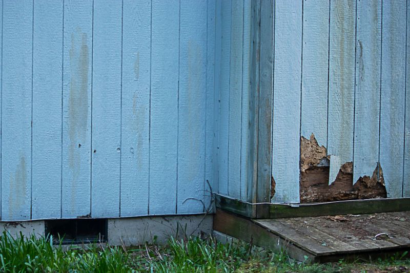 Wainscoting Repair Planning